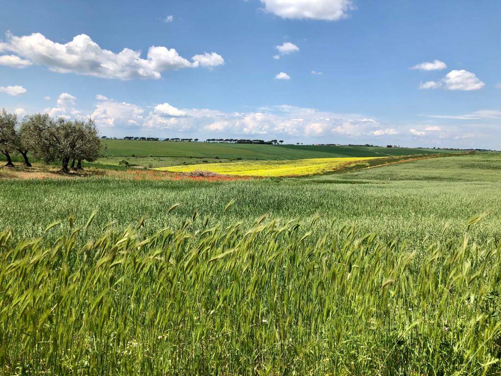 Quinta tappa del cammino Materano: Gravina in Puglia