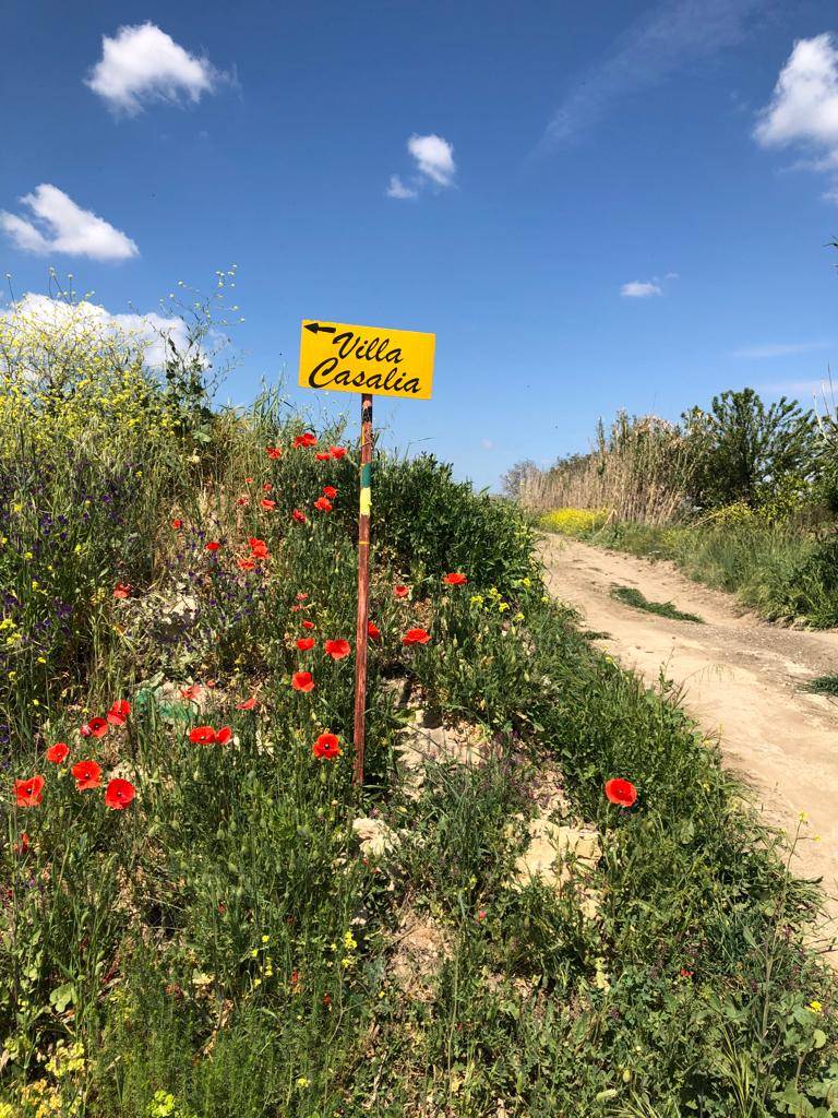 Quinta tappa del cammino Materano: Gravina in Puglia