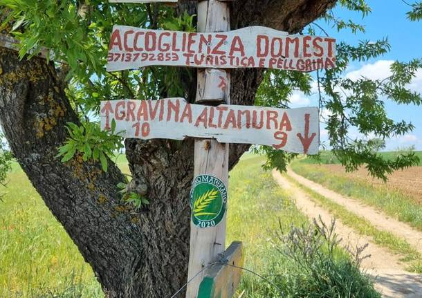 Quinto giorno del cammino Materano: da Altamura a Gravina in Puglia