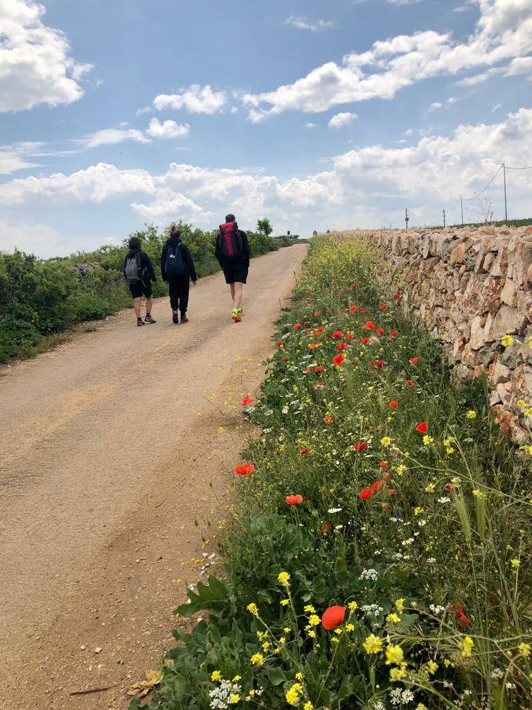 Tappa 4 del cammino Materano: l'arrivo ad Altamura