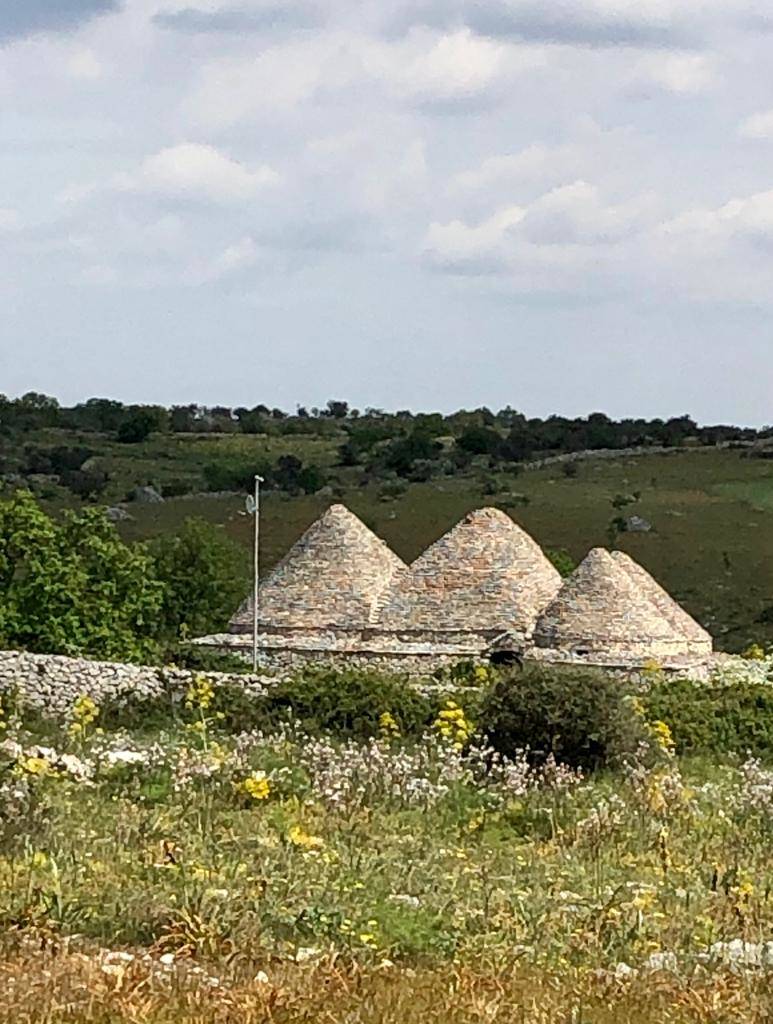 Tappa 4 del cammino Materano: l'arrivo ad Altamura