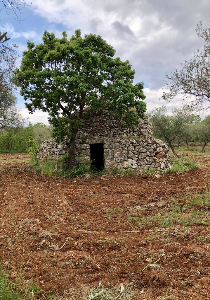 Terzo giorno del cammino Materano: da Cassano delle Murge a Santeramo in colle