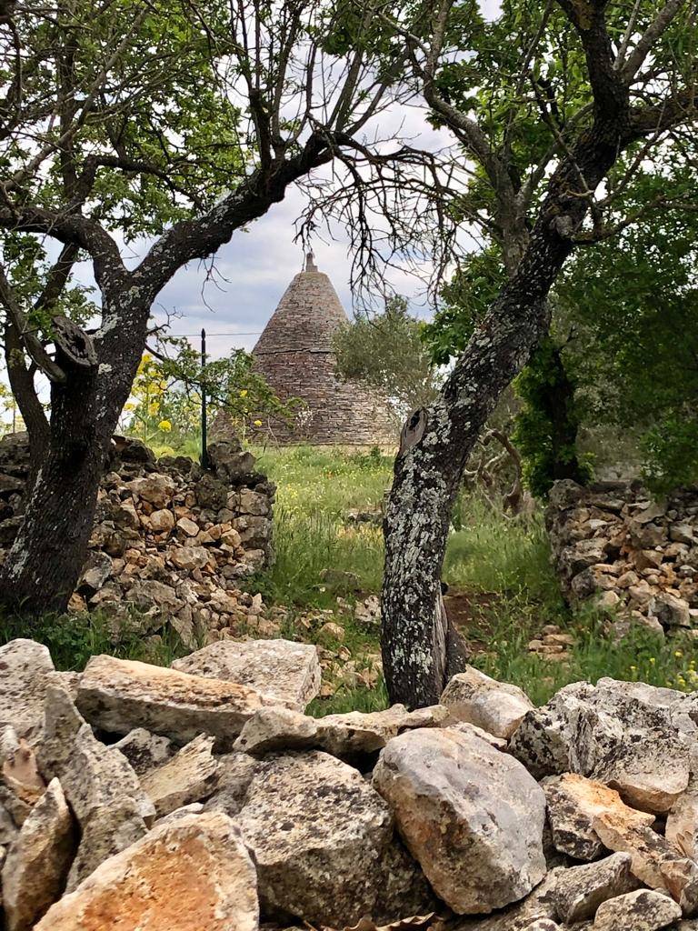 Terzo giorno del cammino Materano: da Cassano delle Murge a Santeramo in colle