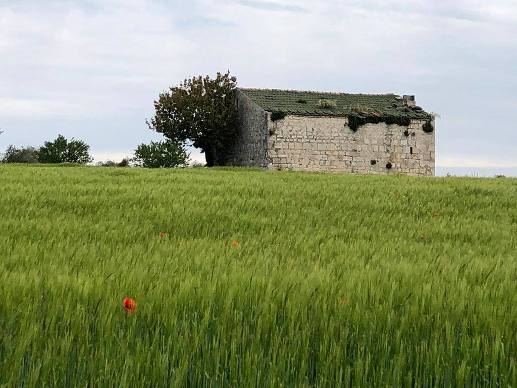 Terzo giorno del cammino Materano: da Cassano delle Murge a Santeramo in colle