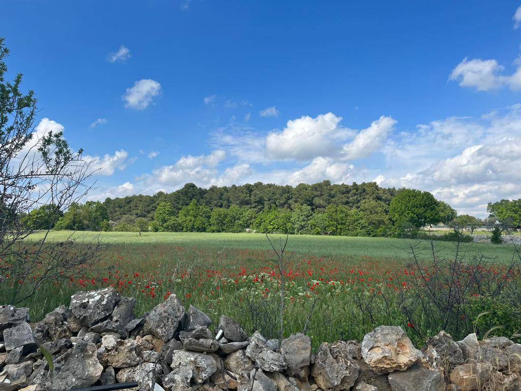 Terzo giorno del cammino Materano: da Cassano delle Murge a Santeramo in colle