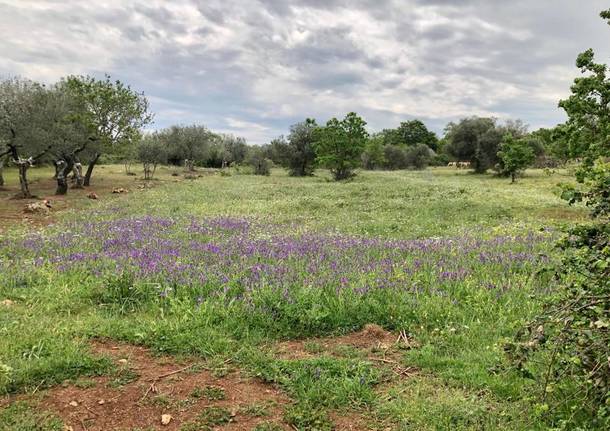 Tappa 3 del cammino Materano: da Cassano delle Murge a Santeramo in colle