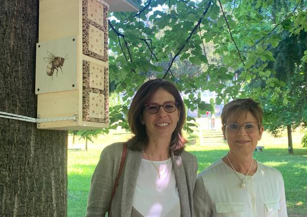 Il bee hotel e il prato fiorito in via Copelli a Varese