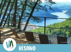 besano generiche