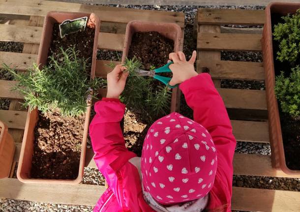 L’Aquilone di Cassano “Green school”