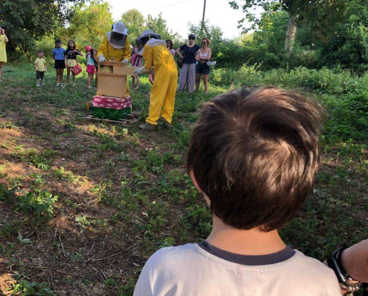 I bimbi della contrada San Martino in visita nella "casa" delle api del Castello di Legnano