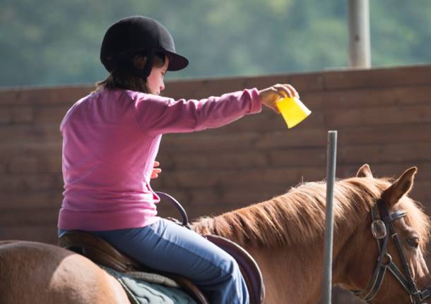 arca del seprio e riabilitazione equestre