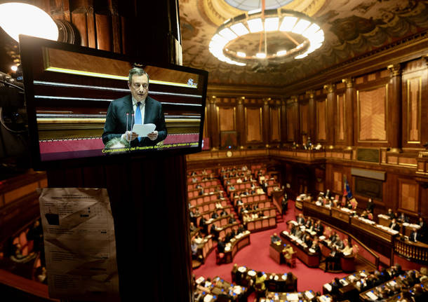 draghi senato