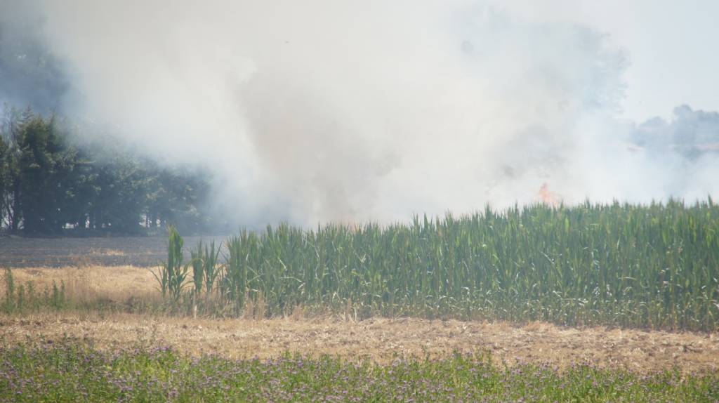 incendio campi gerenzano