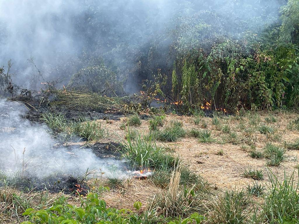 incendio sterpaglie Parco Alto Milanese