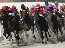 galoppo bettole cavalli ippodromo