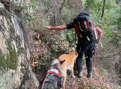 Il salvataggio del cane Otto