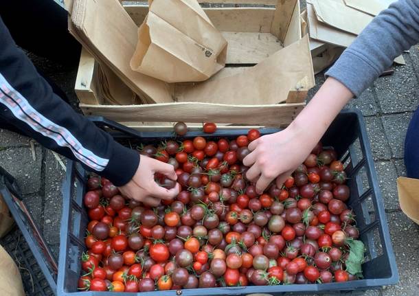 Green Market alla scuola di Morosolo