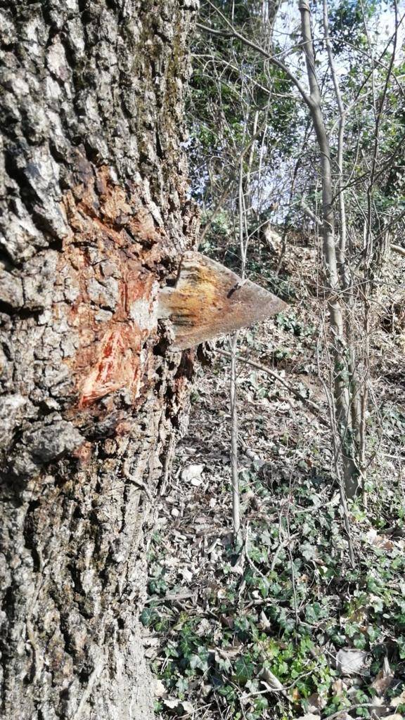 Il recupero dell'antica croce a Ternate