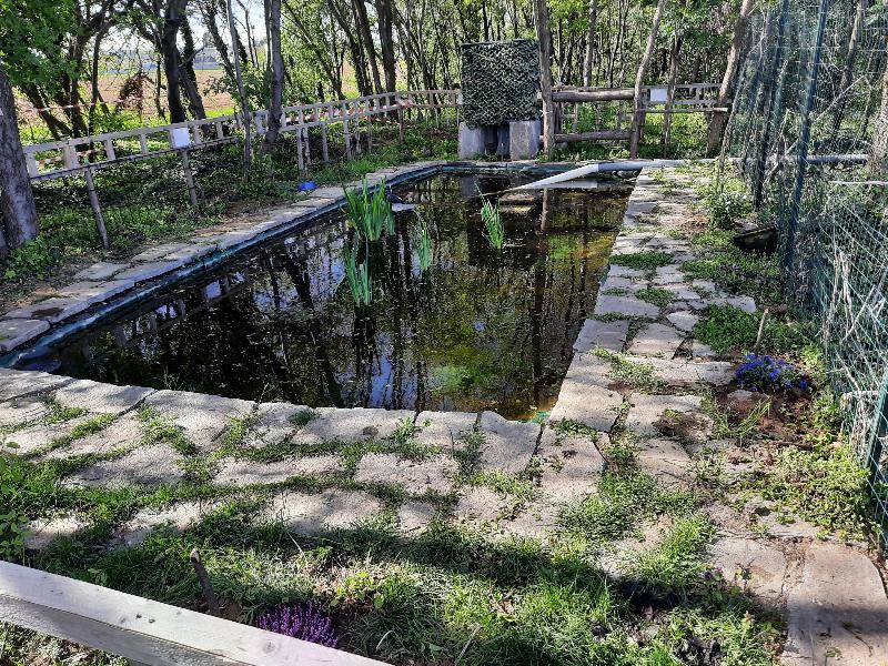 Ultimati i lavori di realizzazione dell’ “Oasi del bosco”