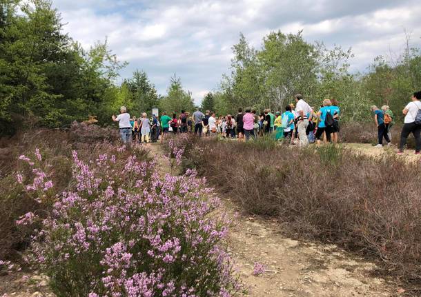 FAI CREMA - I Giardini di Porta Serio sono giunti all'84° posto nella  classifica nazionale dei Luoghi del cuore