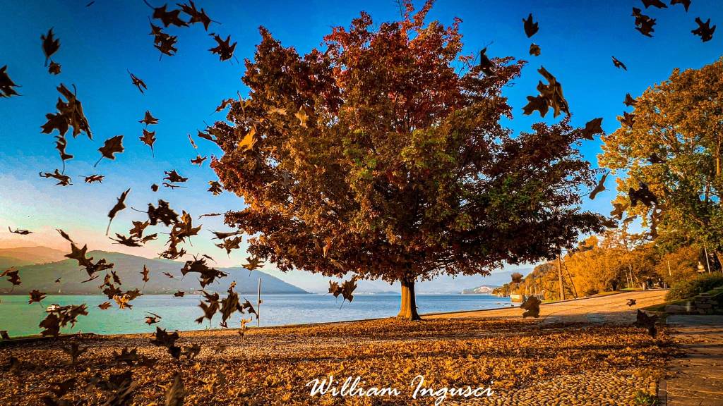 autunno William Ingusci