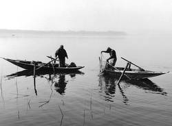 Cazzago Brabbia pescatori