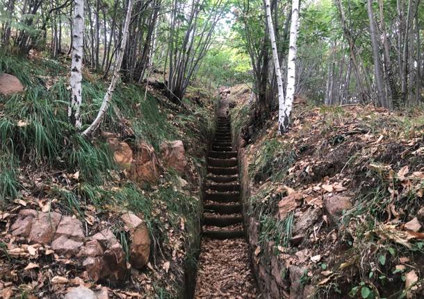 Cuasso al Monte - Linea della pace generiche