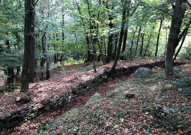 Cuasso al Monte - Linea della pace generiche