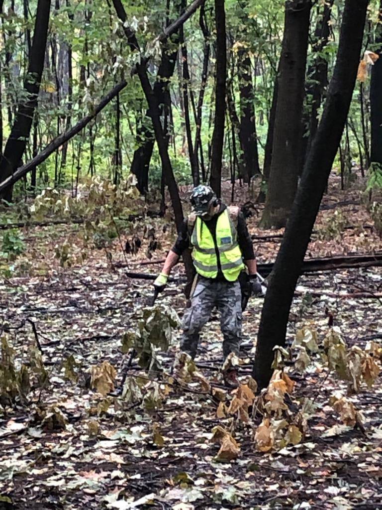 Metal detector boschi spaccio Gorla Minore 