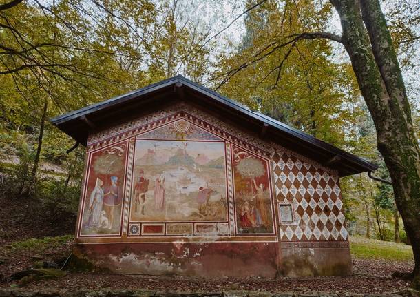 Passeggiata autunnale al Parco dell'Argentera di Cadegliano Viconago - ph. Marzia Malesani