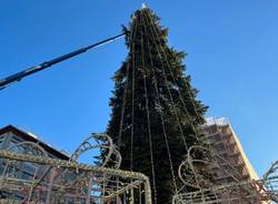 addobo albero natale varese