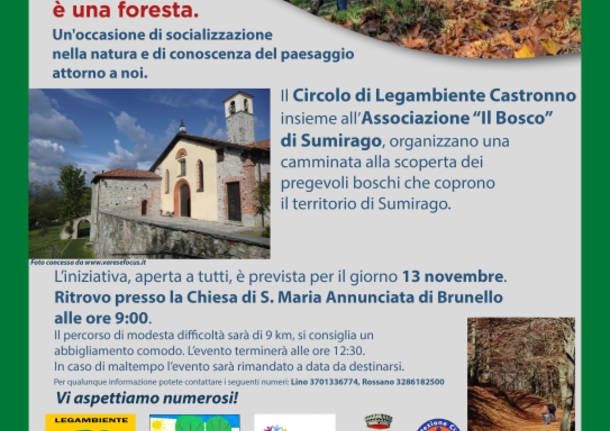 Cammina Foreste Urbane edizione 2022 - 13 novembre