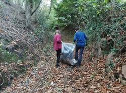 La pulizia del torrente Bustecche