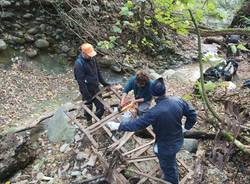 La pulizia del torrente Bustecche