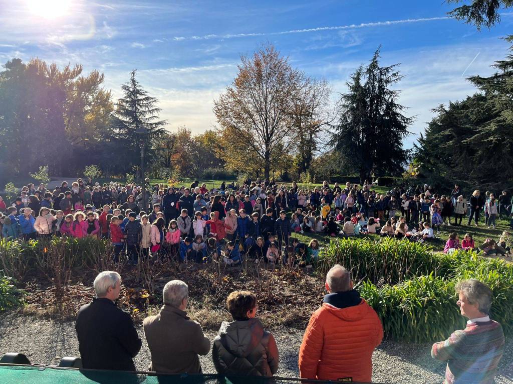 festa dell'albero varese