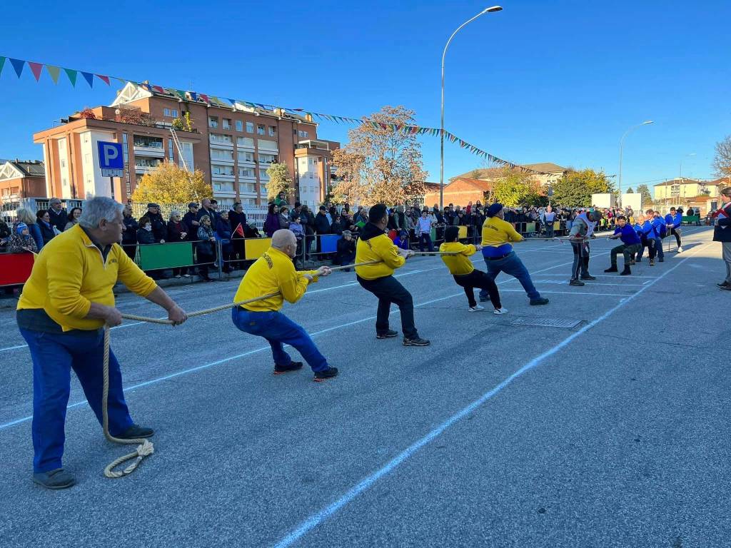 Rama di Pomm Gallarate