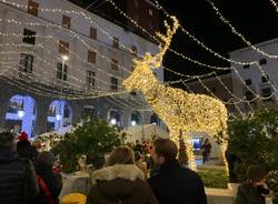 Varese - L'albero di Natale e le bancarelle in piazza