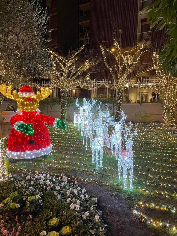 lucine natale busto arsizio picco bellazzi