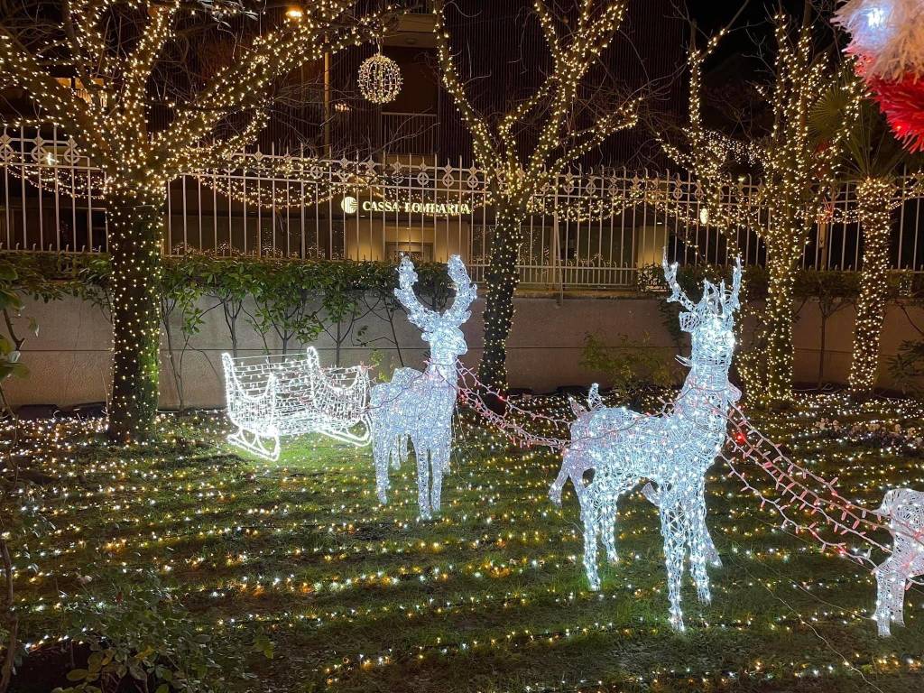 lucine natale busto arsizio picco bellazzi