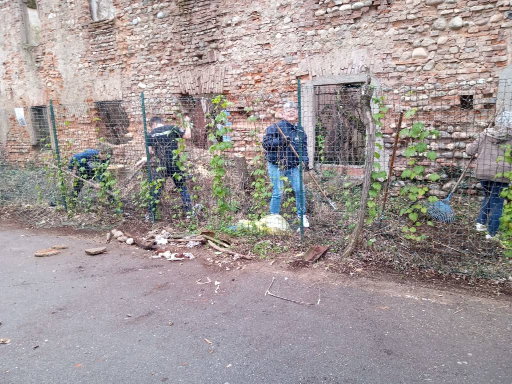 taglio piante cascina dei poveri busto arsizio