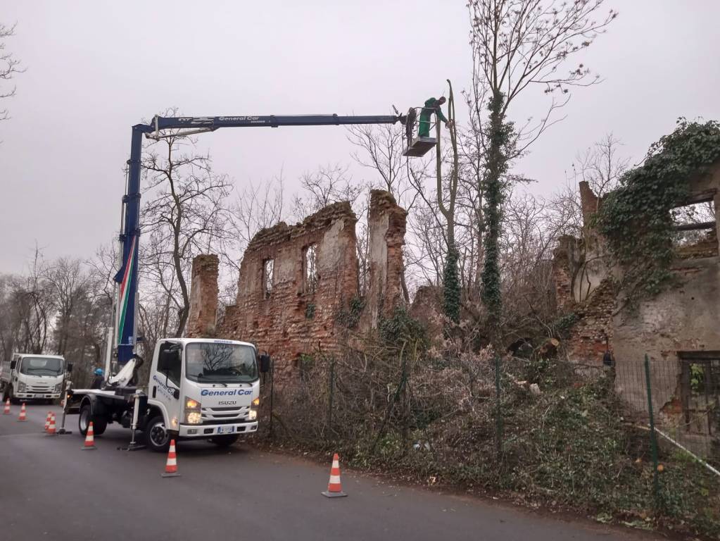 taglio piante cascina dei poveri busto arsizio