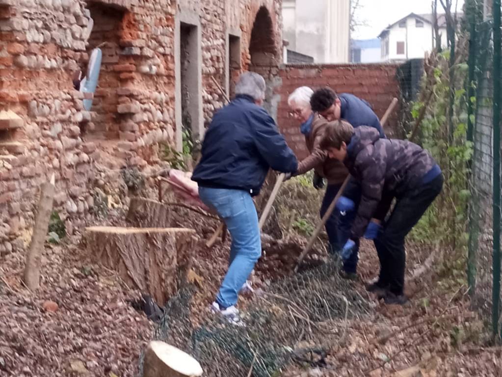 taglio piante cascina dei poveri busto arsizio