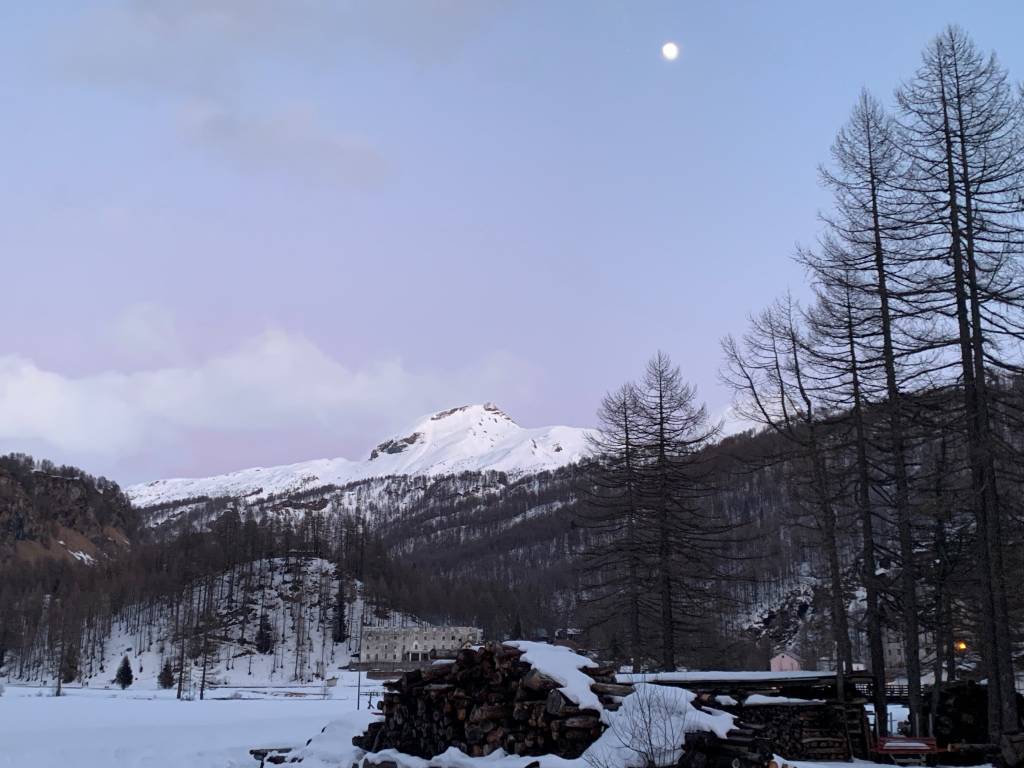 Alpe Devero foto Pika