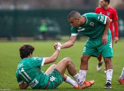 calcio giana erminio varese