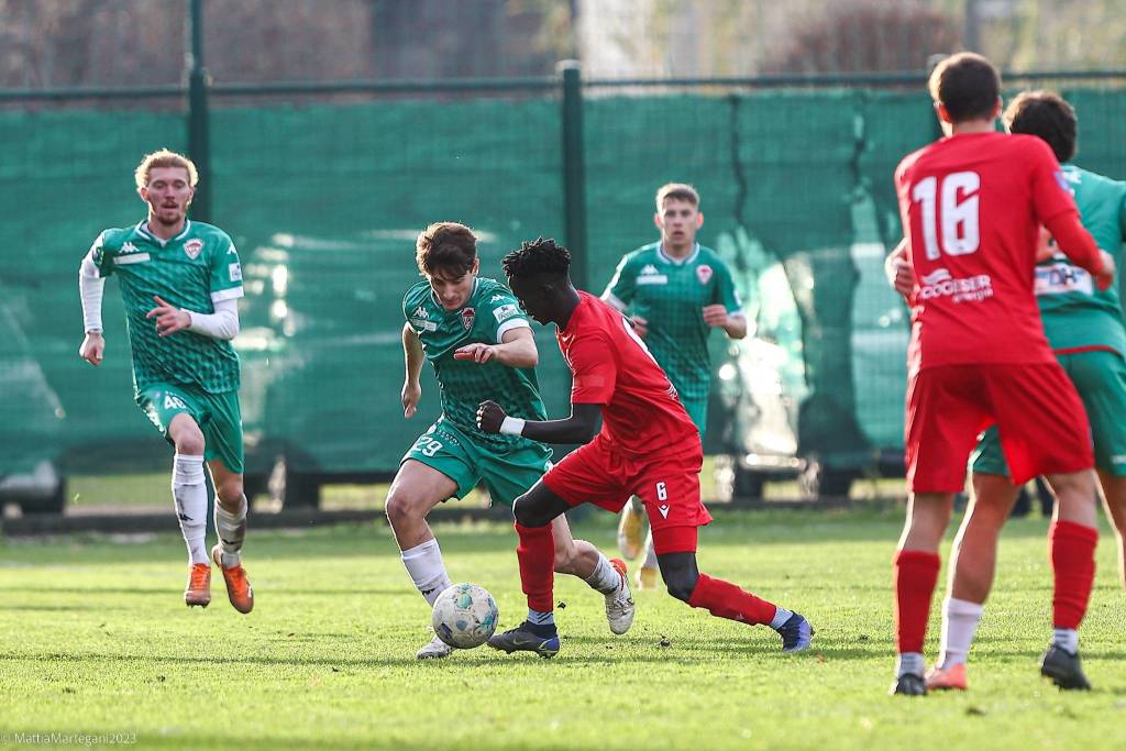 calcio giana erminio varese