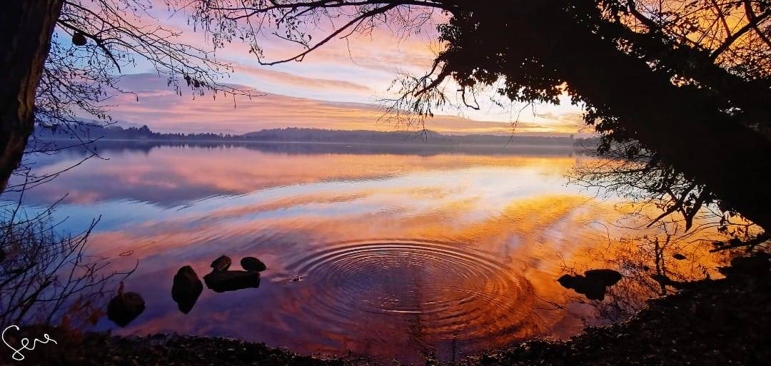 l'alba sul lago di monate