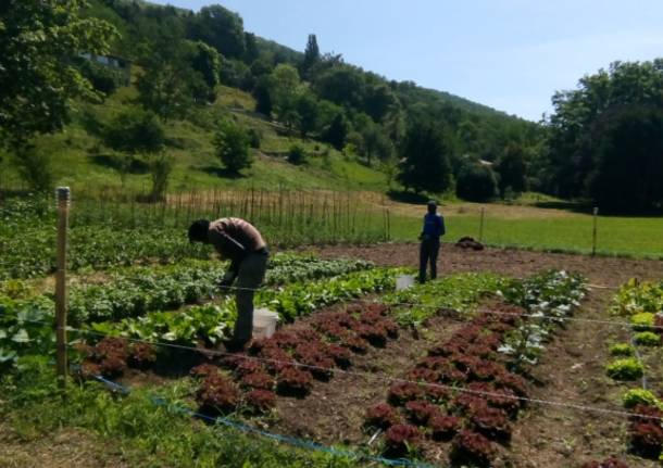 A Cocquio Trevisago il progetto di integrazione sociale passando per l\'agricoltura