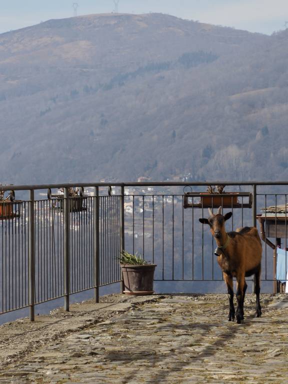 Balconata con vista