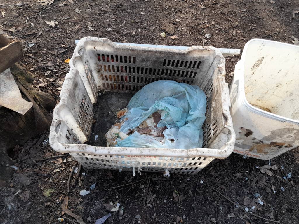 discarica con animali Samarate