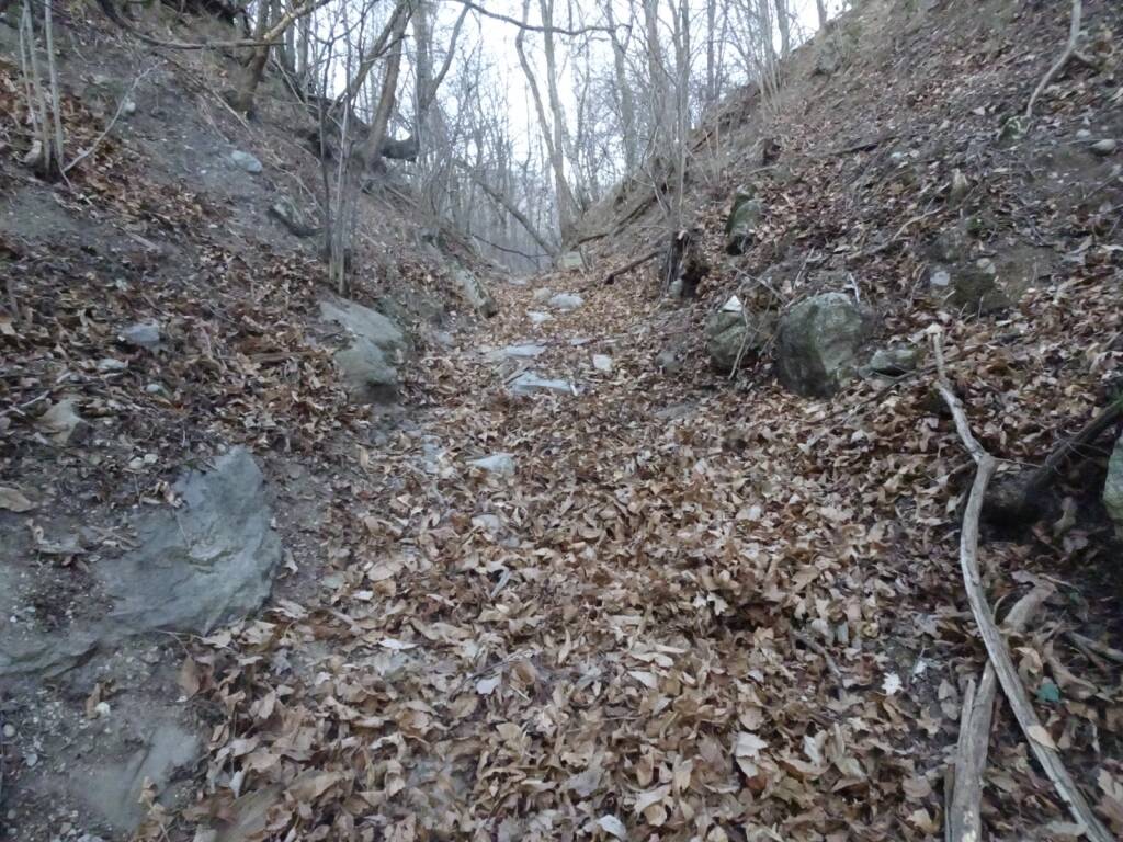 I cacciatori puliscono il Parco Campo dei Fiori